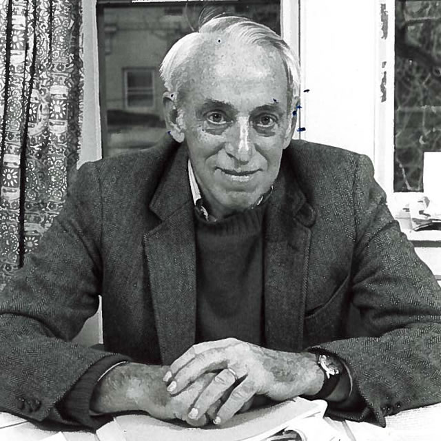 Tobin-Steuer