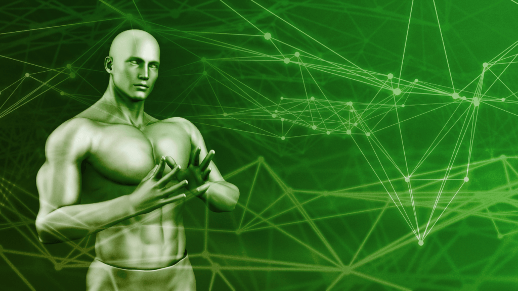 Robo-Advisor
