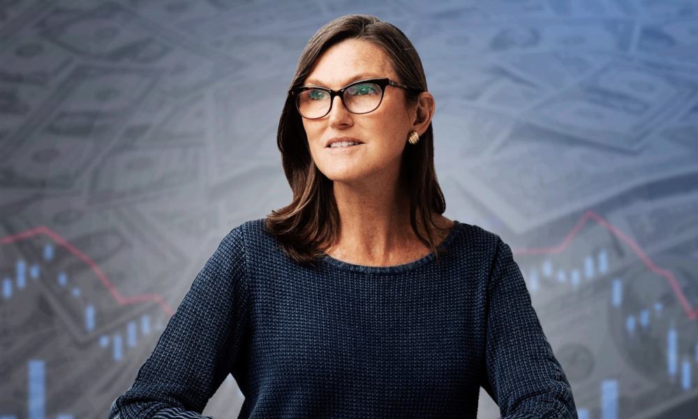 Wer ist Cathy Wood und was sind die Investitionen von Ark?