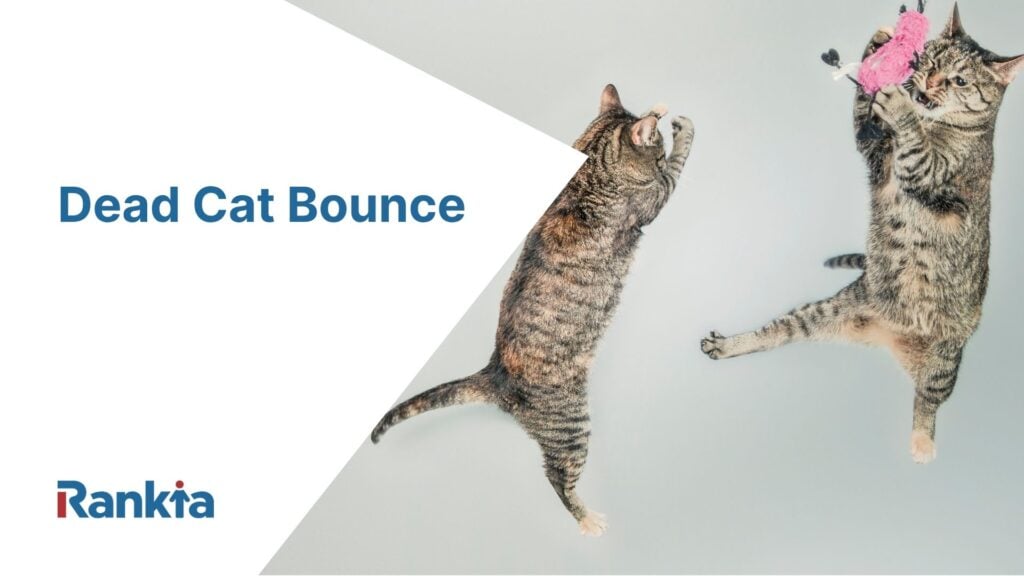 was ist dead cat bounce und wie sollten anleger damit umgehen