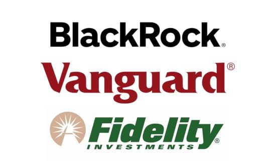 Die größten Fondsmanager der Welt: BlackRock, Vanguard AM, Fidelity Investments