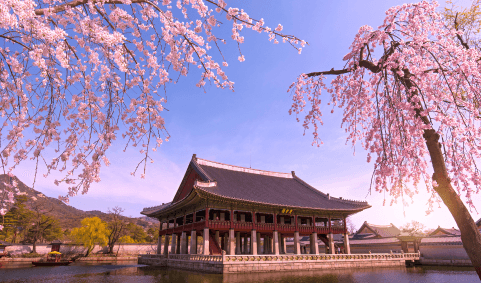 Quellensteuer in Südkorea einfach erklärt