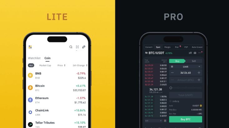 Kontotypen von Binance: Lite und Pro.
