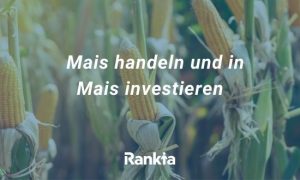 Bild für Mais handeln und in Mais investieren