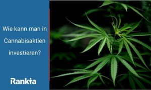 Bild für Wie kann man in Cannabisaktien investieren?