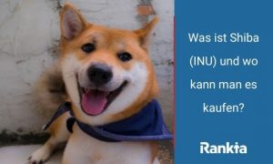 Bild für Was ist Shiba (INU) und wo kann man es kaufen?
