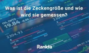 Bild für Was ist die Zeckengröße und wie wird sie gemessen?